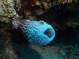 Curacao 04-12 227
